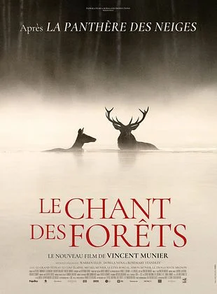 Le chant des forêts