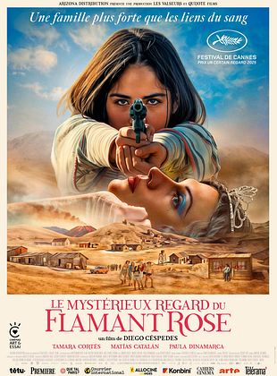 Le mystérieux regard du flamant rose (la misteriosa mirada del flamenco)