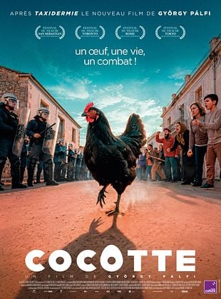 Cocotte (Kota)