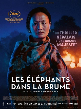 Les éléphants dans la brume (Elephants in the fog)